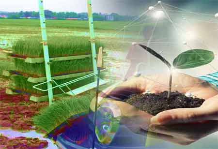 Ways to Improve Resource Availability in Agriculture